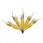 ソフトエビルアー 9cm 10個