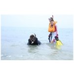 プロ マスク シュノーケリング ダイビング セット