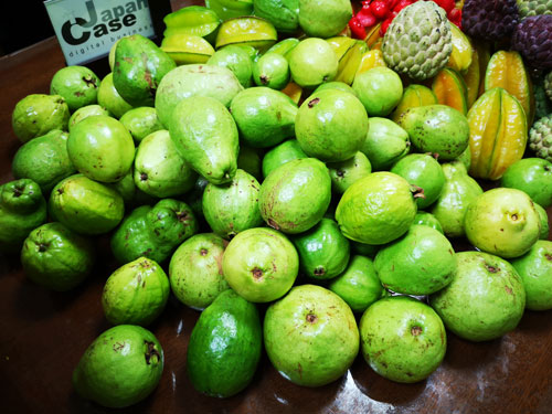 Tipui Okinawa - Frutas Guava white / Goiaba branca / グアバ 白